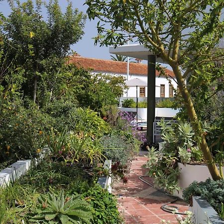 Jungle Paradise La Orotava Extérieur photo