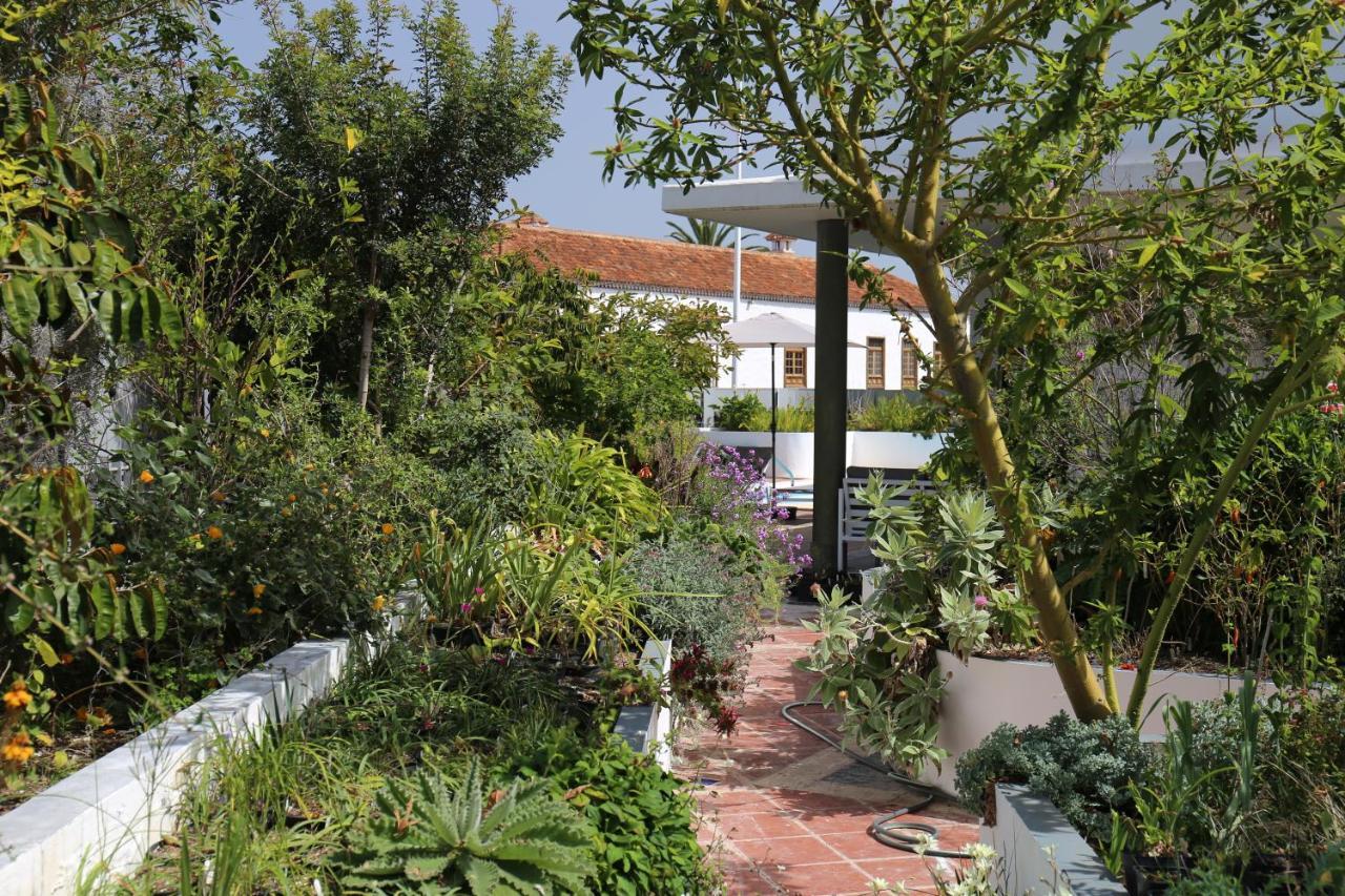 Jungle Paradise La Orotava Extérieur photo