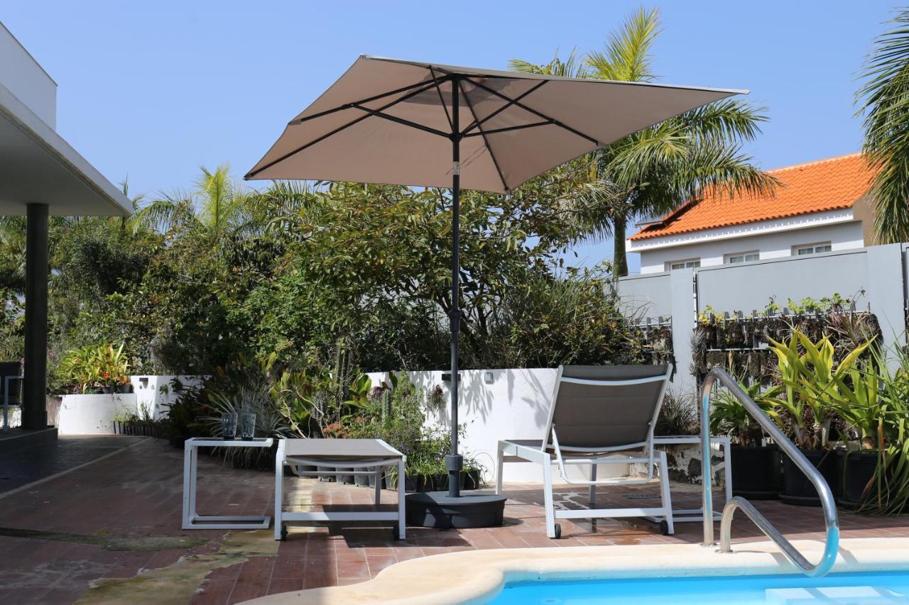 Jungle Paradise La Orotava Extérieur photo